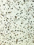 Splatter Brown on White Hinson Wallpaper Interior Decor hp0153b